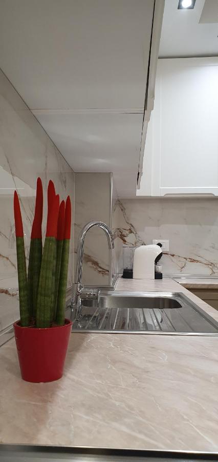 Luxury Drijon Apartments 3J Shkodër Eksteriør bilde